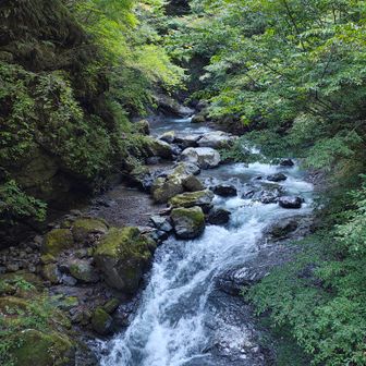 見ごたえのある流れがつり橋上から
