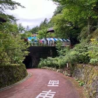森林館ではイベントをやってました