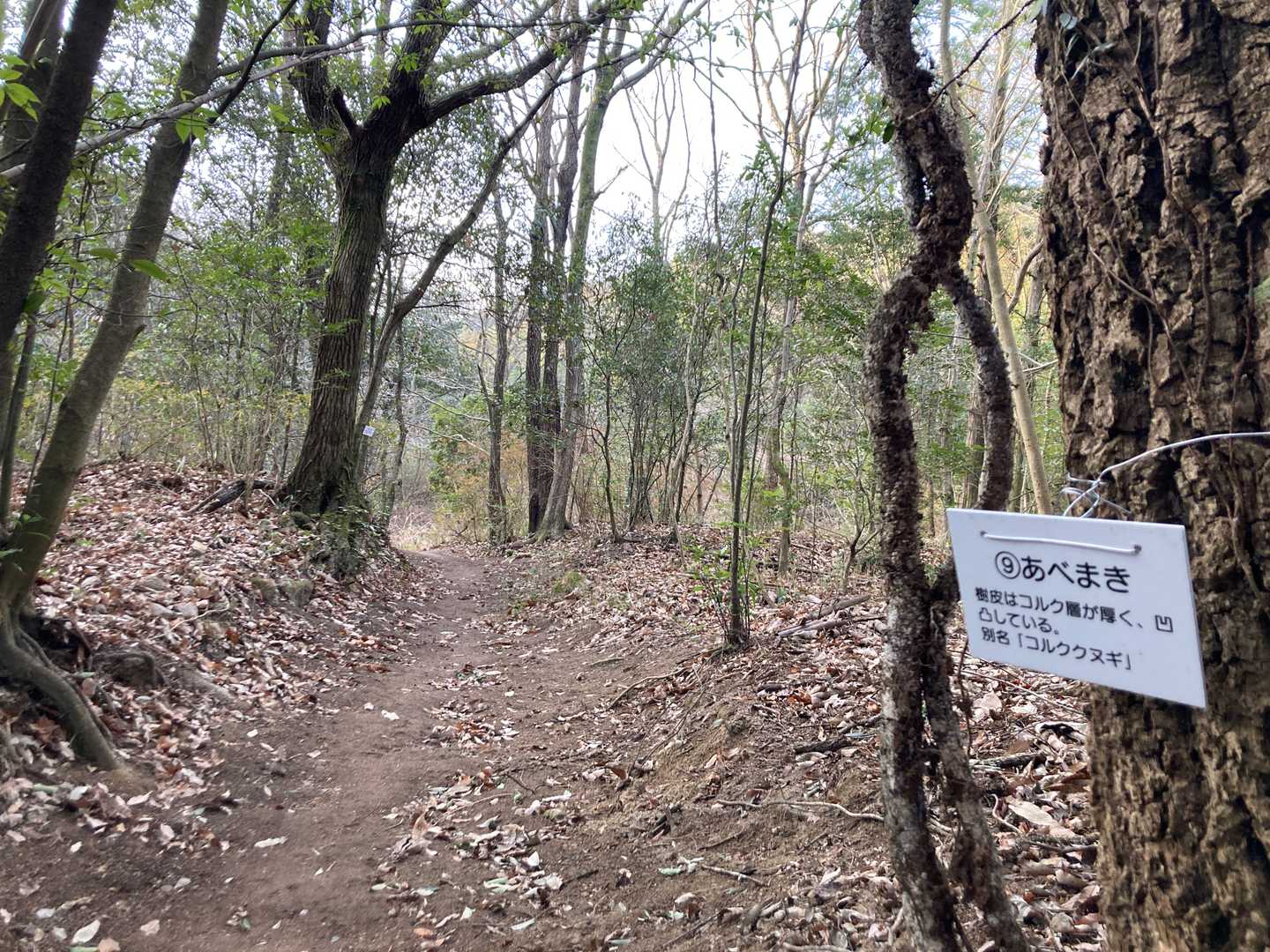大好きな平坦な道が続きます😄