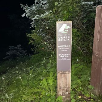 白毛門山頂まで3時間20分じゃいけなかったよ
途中でルートロストしちゃった