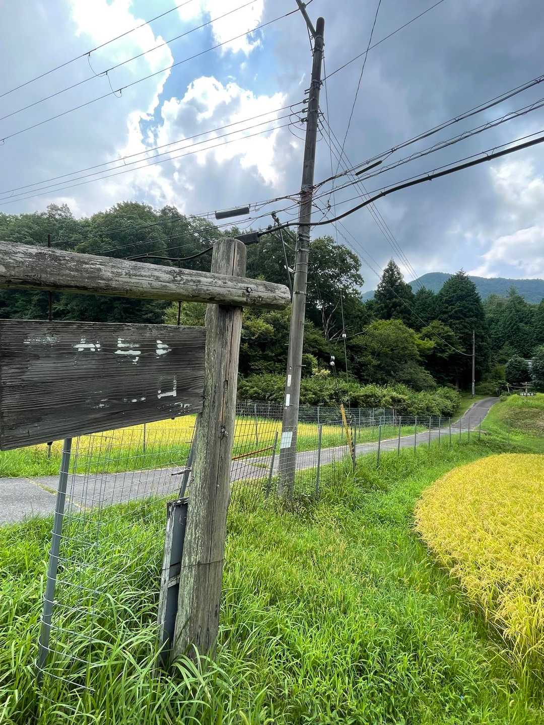 ここから