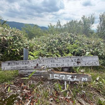 傷んでるけど長者峰🚩　霧島山、高千穂…とほぼ同じ標高って書いてある👀