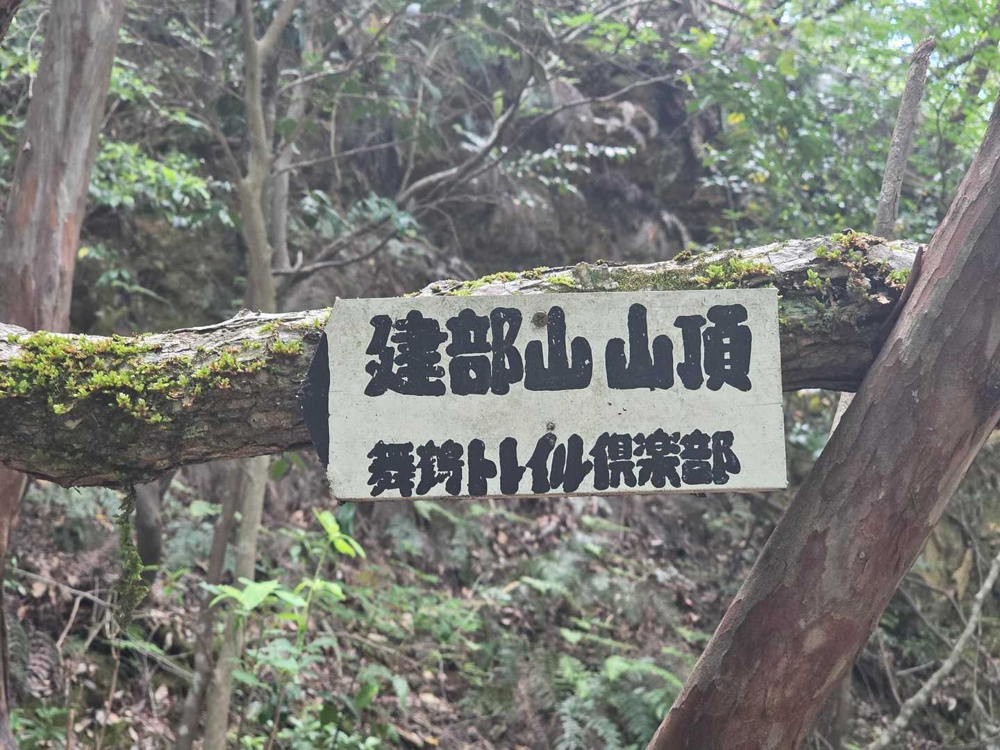 山頂⁉️
ちょっと見えにくいけど左側に矢印が🤭