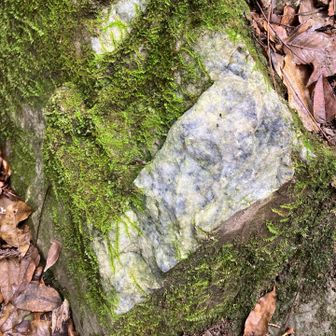 グリーンピア春日井🅿️スタート！

時計周りで弥勒山から行くことにした。
大理石に苔が…😲