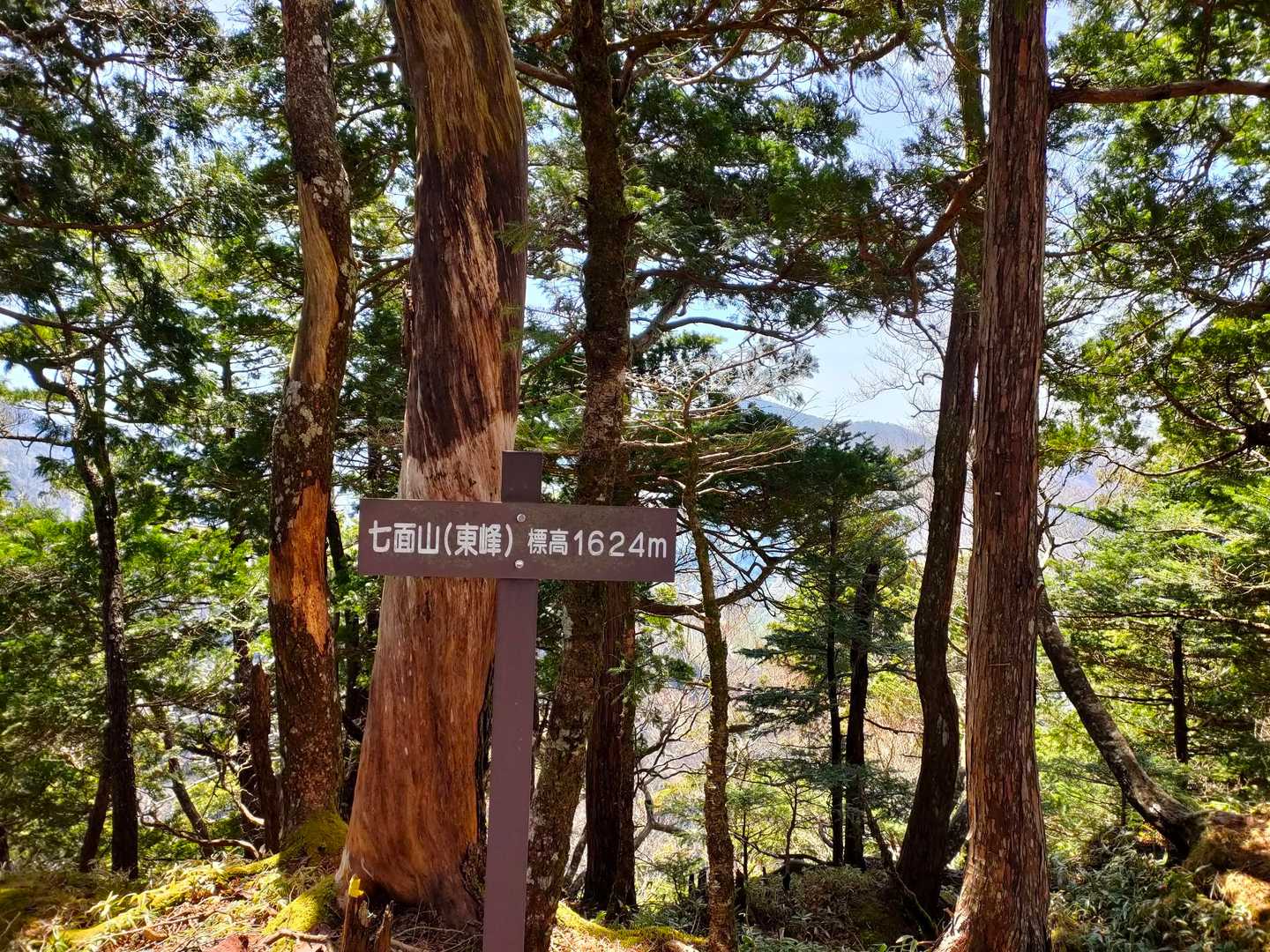 七面山（東峰）に登頂😸