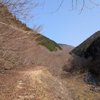 登山口から歩きスタート