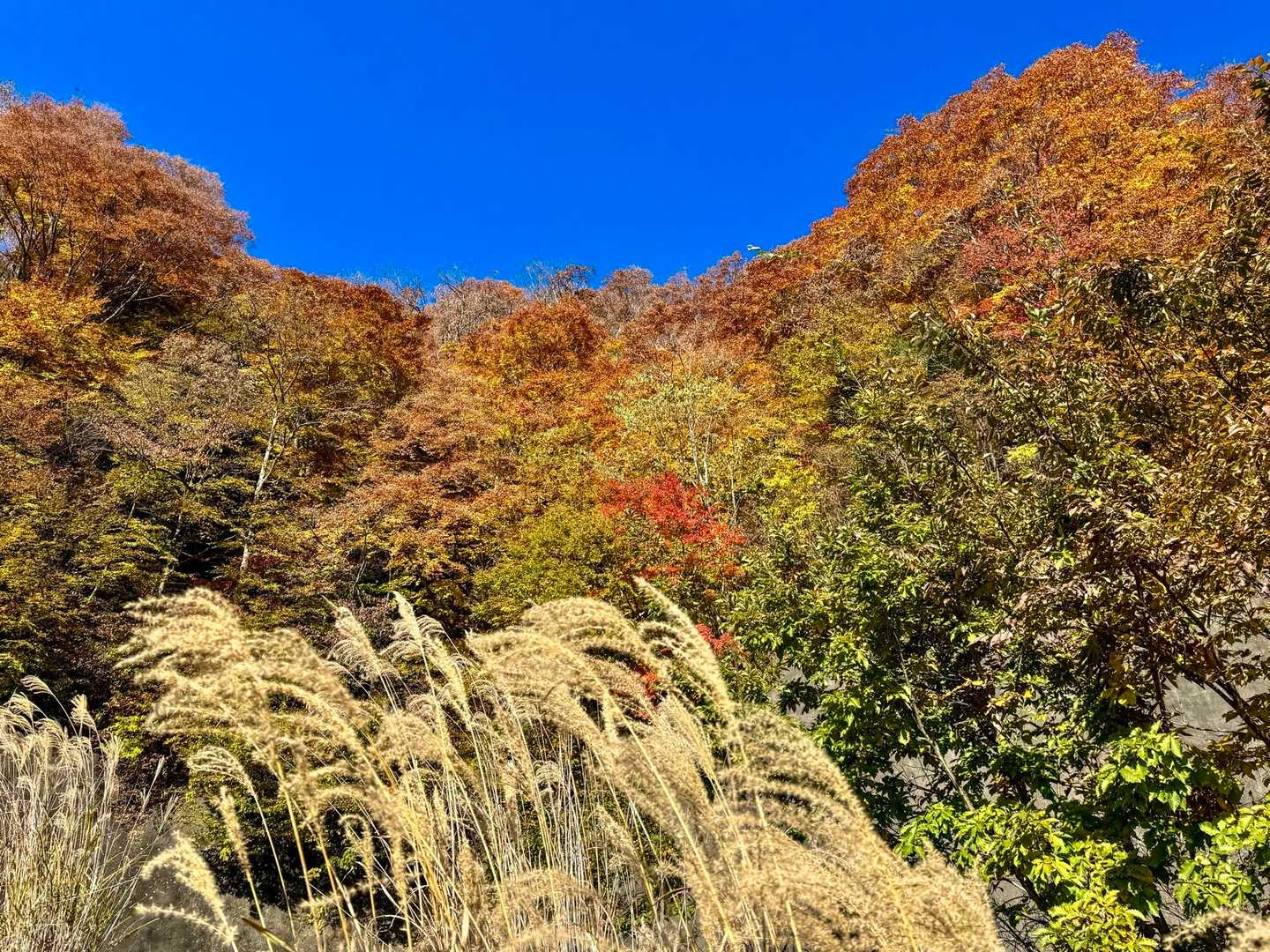 道坂隧道入口バス停-道坂峠-今倉山-松山-二十六夜山 周回コースの写真