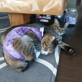あつし