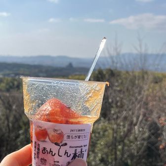 伏見桃山のお城🏯を眺めつつ完熟柿