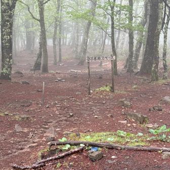 女子専用スペースまであって、とても広いテント場