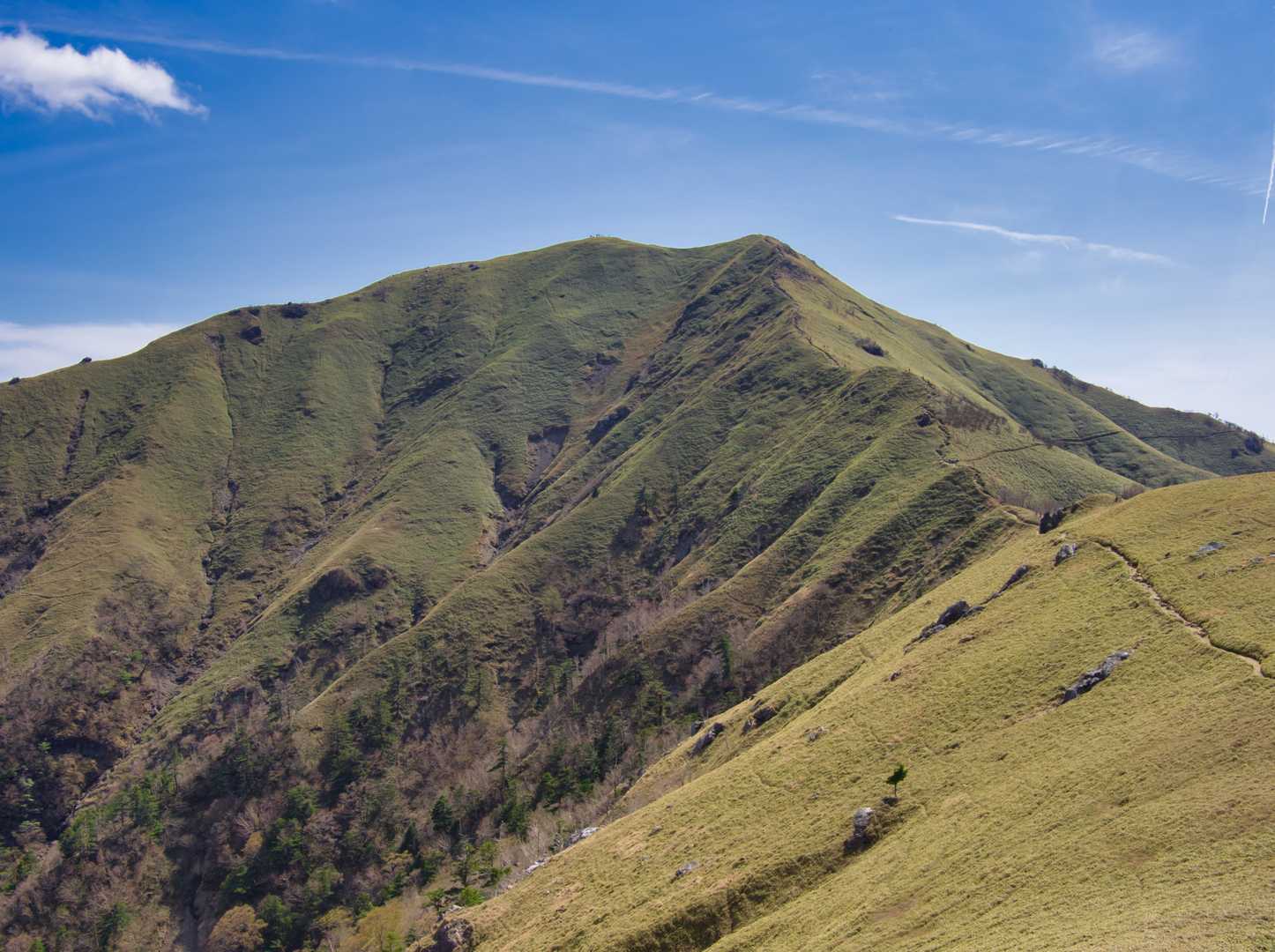 剣山王道コース | 四国の空に浮かぶ稜線美を歩くの写真