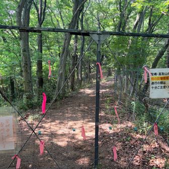 しっかりとした柵
熊注意⚠️