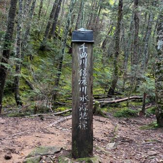 いざ、千曲川源流。
「えっ、これが❓」って感じ…😅
源流は、ちょろちょろ湧き水が出ているだけでした。