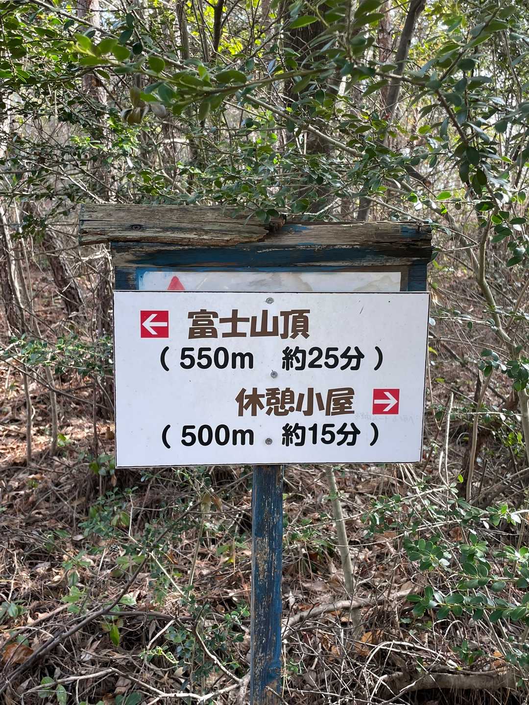 あと550m、25分で着くそうですよ⛰