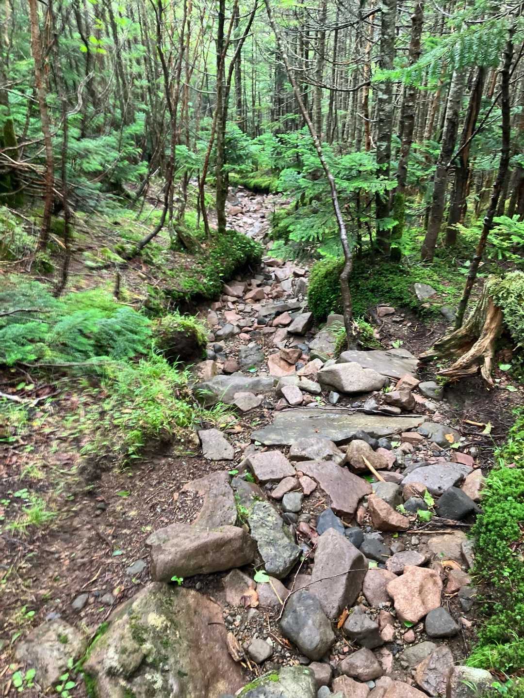 すずらん峠-蓼科山 周回コースの写真