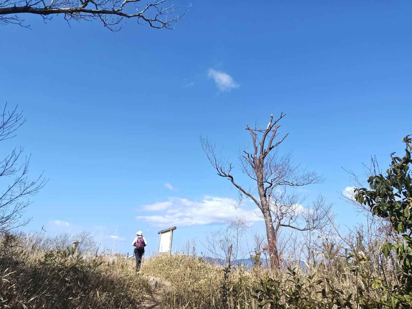 仏経山東嶺🙌