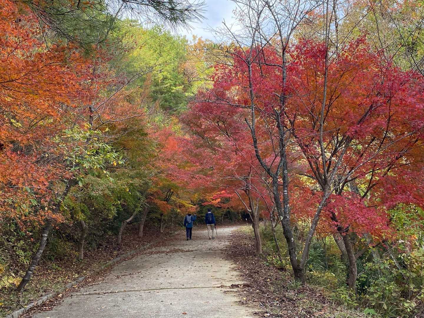 石生谷登山口-三床山 往復コースの写真