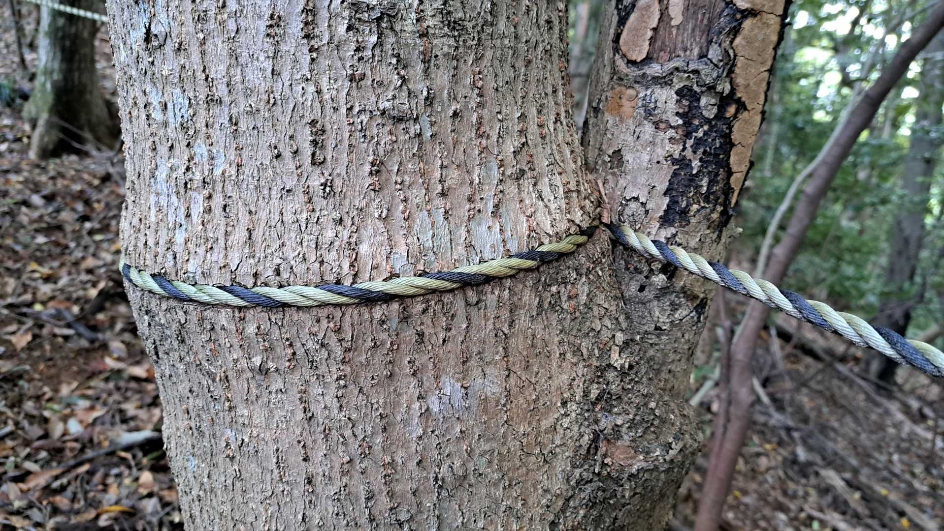 ロープ切ったげて～😥