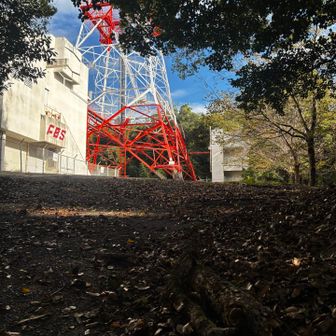 この裏あたりがピークのようです