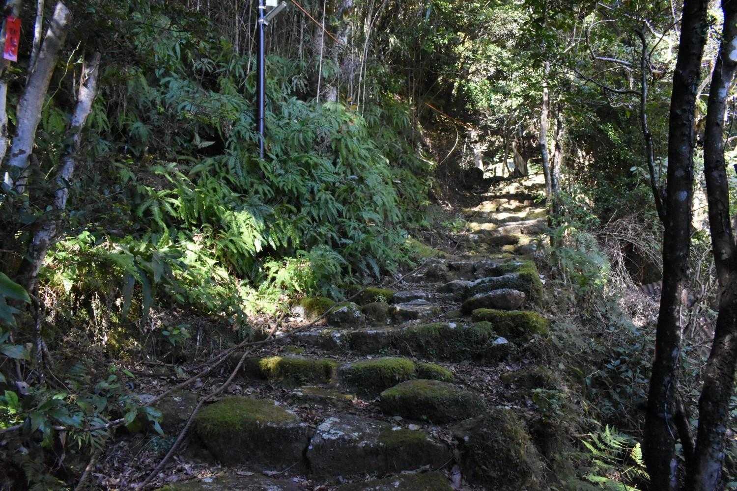 登山口の石段、林に入ると石は苔に覆われている