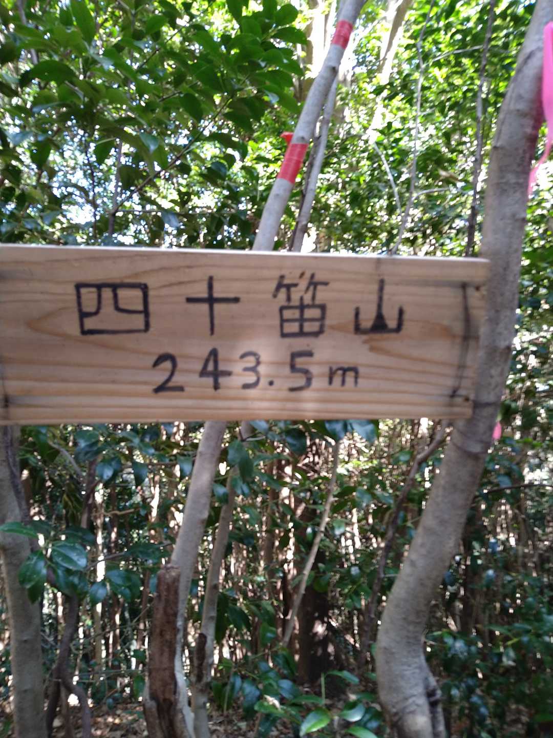 とりあえずは山頂です。