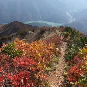 下りの稜線