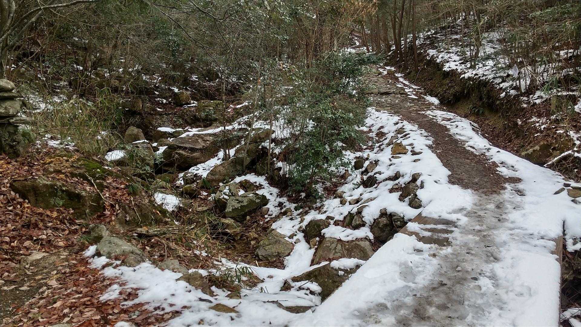 雪が見えてきました。