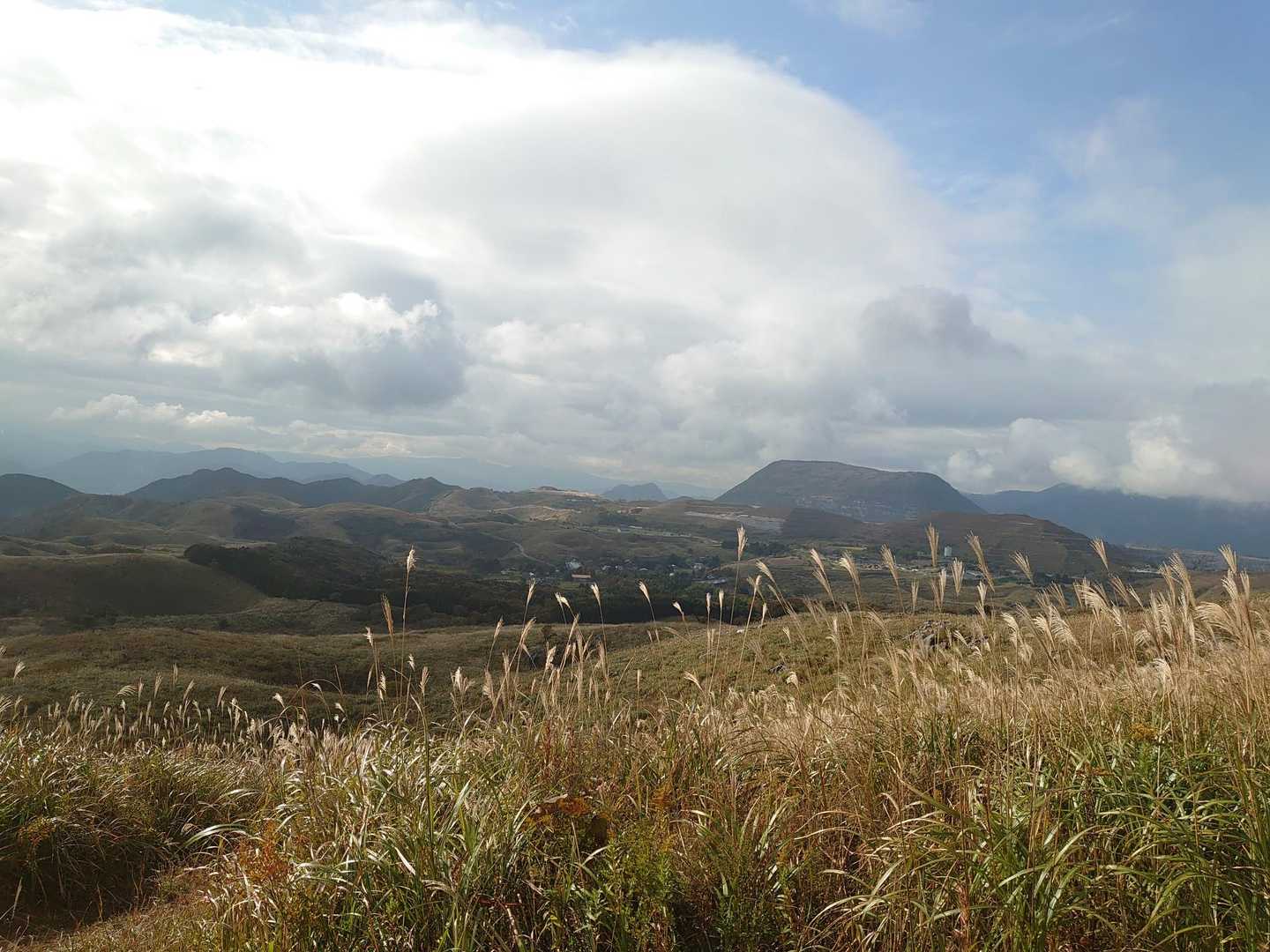 大平山 往復コースの写真