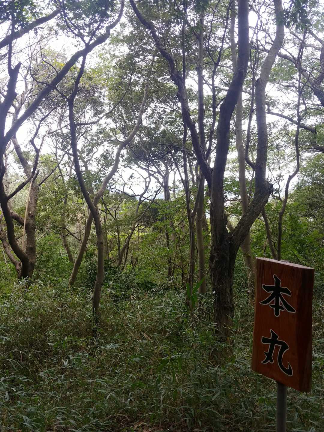 ⑧長野城址　本丸
11回目の登頂😄
