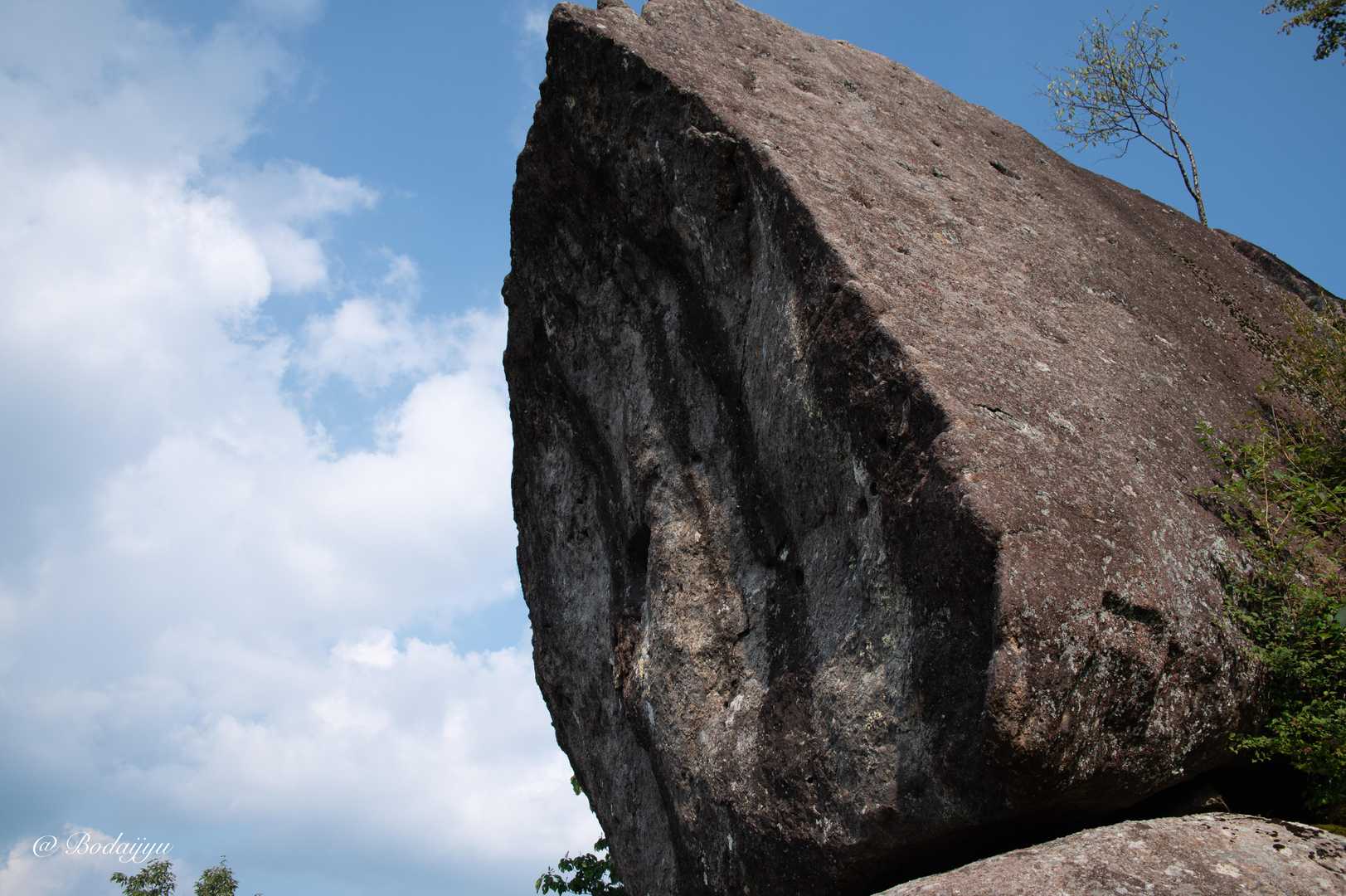 上の山-大野山 周回コースの写真