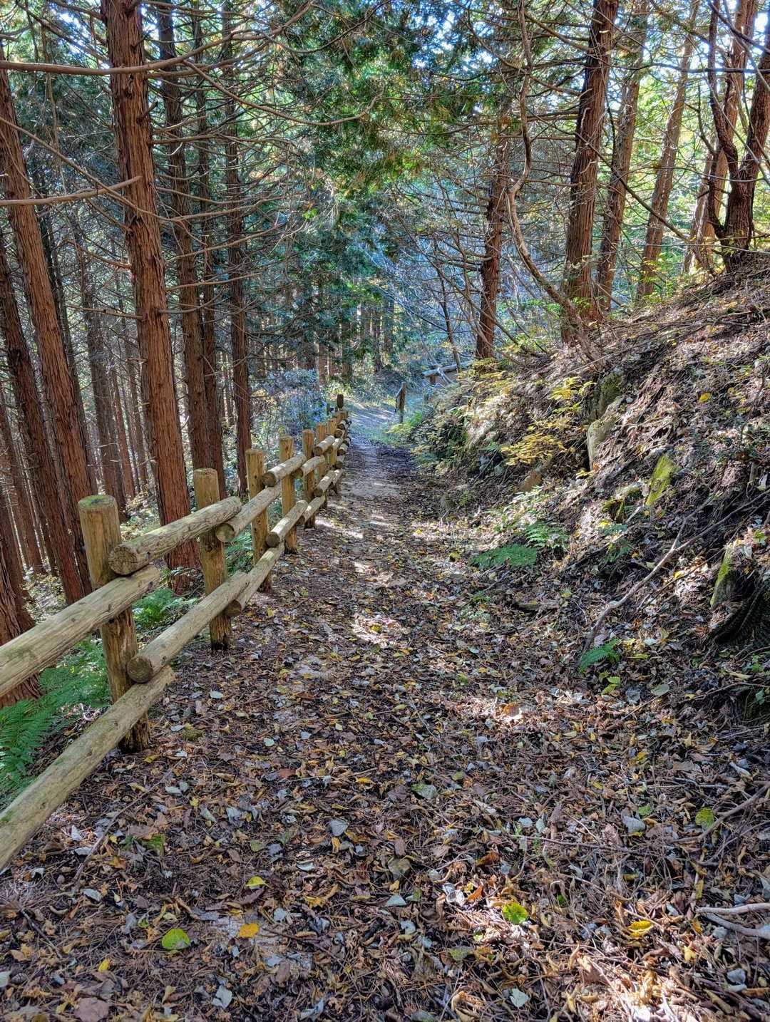 ピストンで分岐まで帰ろうとしたらいつの間にか見覚えのない道を歩いてました😅
まぁ、いっか…(⁠≧⁠▽⁠≦⁠)