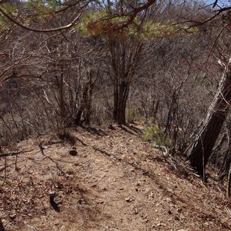 一旦下ります。