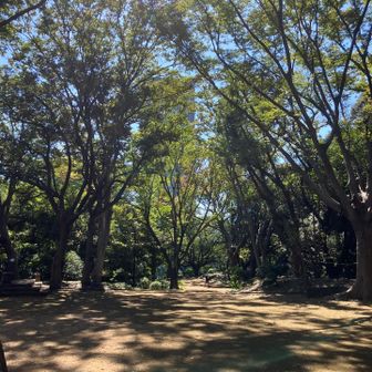 山頂広場