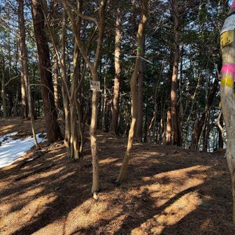 蛇不老山山頂❗️