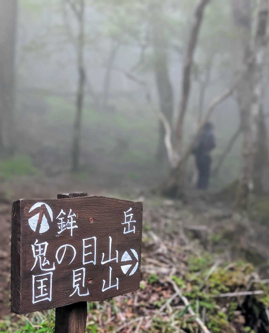 他のお山も色々周回出来る