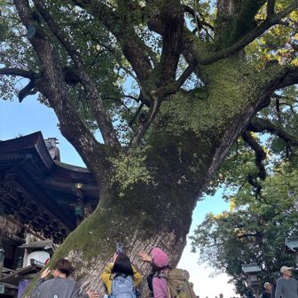 パワーチャージ中