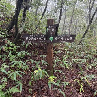 関東ふれあいの道が二手に分かれます。松之沢峠方面へ
