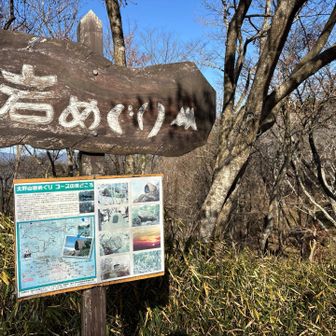 一通りみて回ったみたい