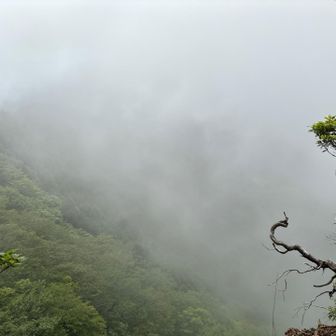 西峰付近
眺望ありですが、すぐ下は崖です