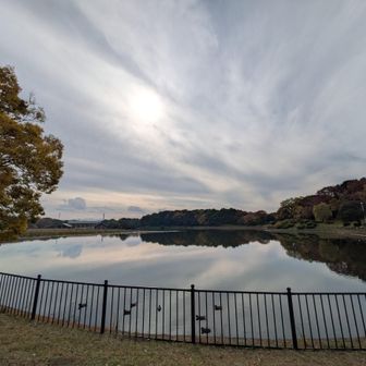 大泉緑地到着！