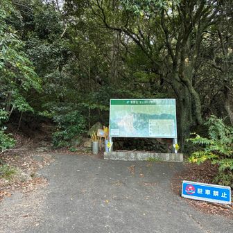 向かって左手←から降りてきました