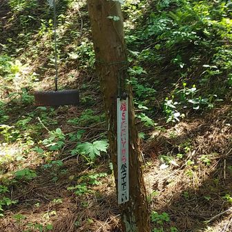 頂上直下の鐘