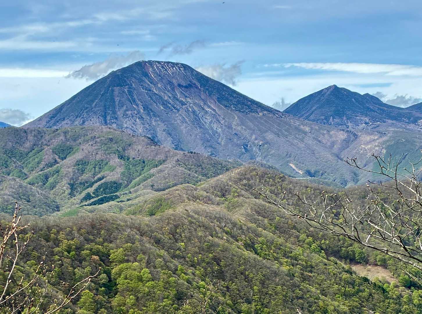 登山道脇の岩に登ってやっと撮れた。