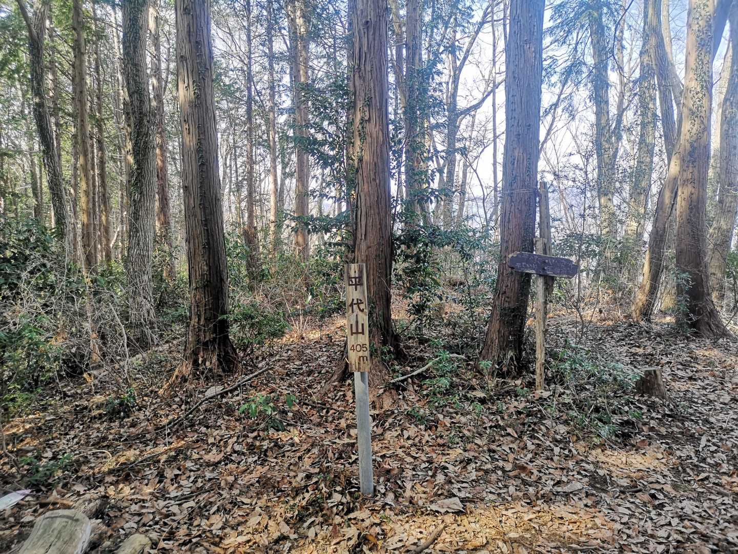 平代山
無理に行くほどじゃないです。有るのは蜘蛛の巣だけです🕸️