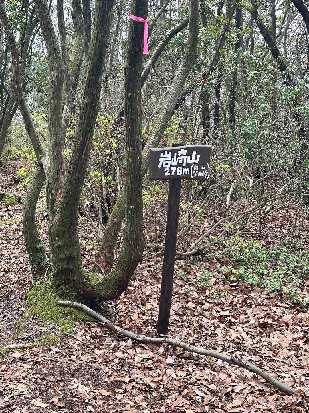 百々神社登山口-岩崎山-鶴翼山-西ノ丸-八幡神社登山口 縦走コースの写真