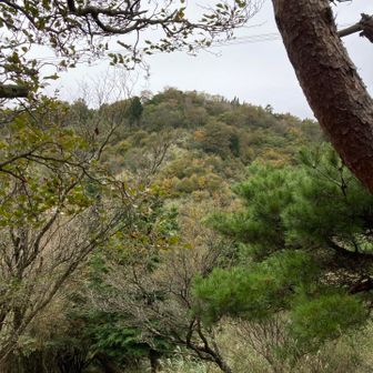 あれが…二ノ塔かと思った（笑）
もしや岳ノ台⁉︎