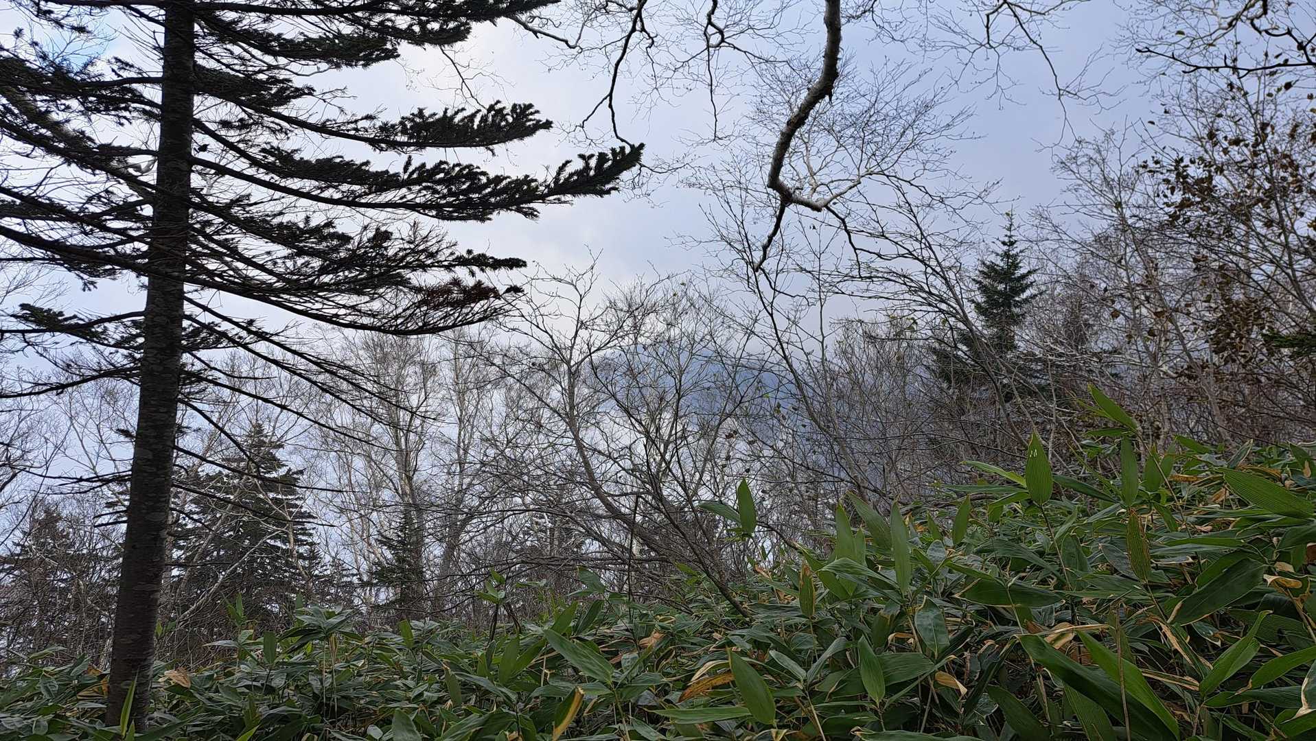 ガスが晴れて来て隣の山が見えて来た🤩