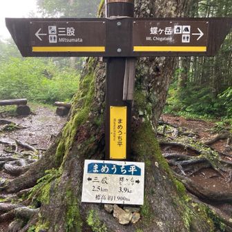 まめうち平で一休憩
土砂降りだから休憩できる時には休みます。