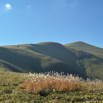 陰影が美しい