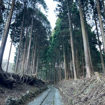しばらく舗装された道が続きます🛣️